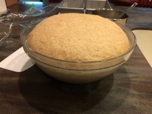 Whole Wheat First Rise