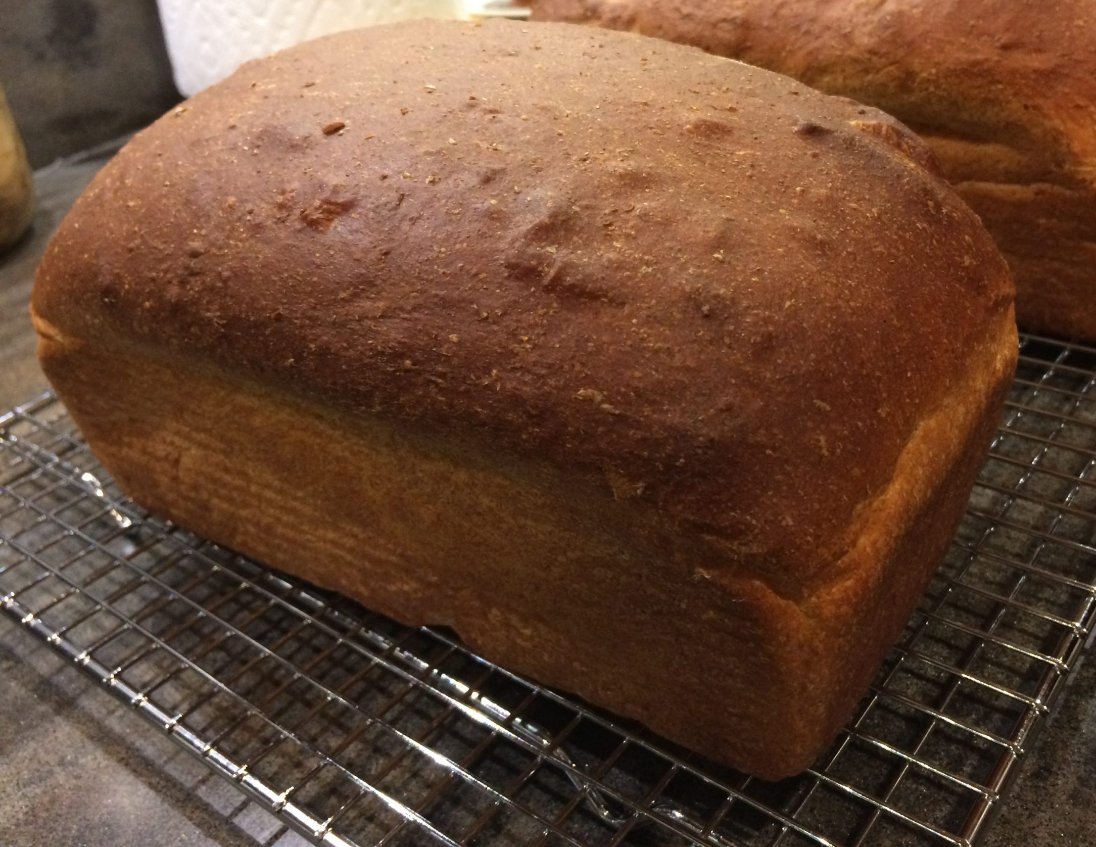 Whole Wheat Bread