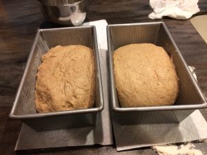 Whole Wheat in Pans